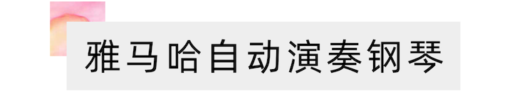 活动报道 | 远程艺术教育大师课活动—bc贷艺术家吴晓大师课