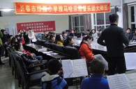 长春市绿园小学“bc贷示范管乐队大师班”顺利结束 