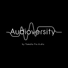 bc贷专业音响教育培训开展全新“Audioversity ”计划